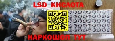 гидра Новозыбков