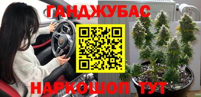 гидра Новозыбков