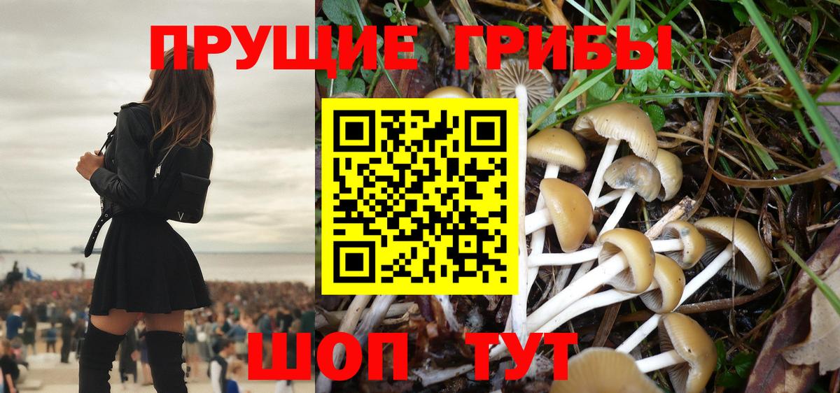 Галлюциногенные грибы мухоморы Ахтубинск