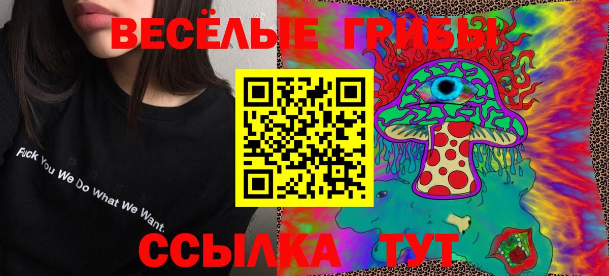 Псилоцибиновые грибы Psilocybe  Вход с VPN  Ахтубинск 